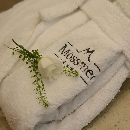 Hotel Quality Hosts Arlberg Garni Mössmer 4*